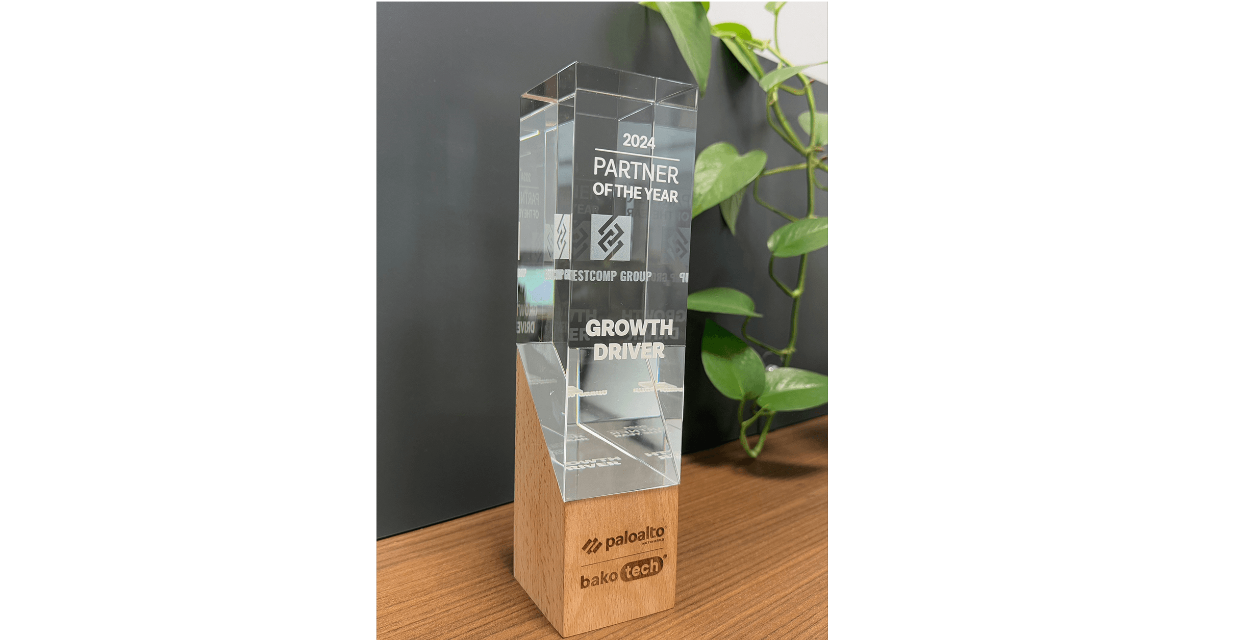 2024-cü ilin Tərəfdaşı